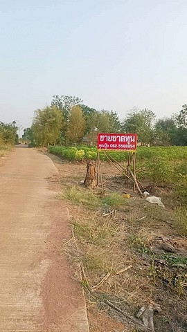 ขายที่ดินกาญจนบุรี... ขายที่ด่านมะขามเตี้ย... ขายที่ดินตำบลกลอนโดอำเภอด่านมะขามเตี้ย.. ขายที่ดินติดทางสาธารณะ ที่ดินวิวภูเขา 