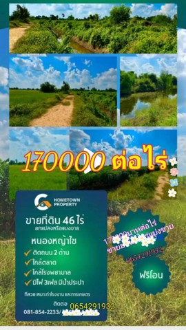 ขายที่ดินอำเภอหนองหญ้าไซ จังหวัดสุพรรณบุรี เนื้อที่ 46 ไร่ 1 งาน 64 ตารางวา