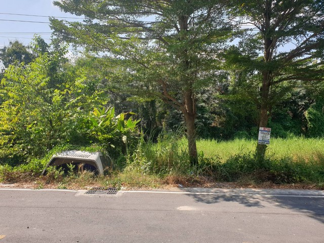 ที่ดิน - 10 ตร.ว.  1000000 THB ใกล้กับ – บิ๊กซี  – โลตัส  – ดูโฮม  – วัดอัยยิการาม  – ตลาดต้นไม้ คลอง 9  – โรงเรียนสารสาสน์วิเทศรังสิต คลอง 7  – โรงเรียนจุฑารัตน์วิทยา  – โรงเรียนวัดอัยยิการาม  – โรงพยาบาลธัญบุรี  – โรงพยาบาลคลองหลวง  – โรงพยาบาลมหาว
