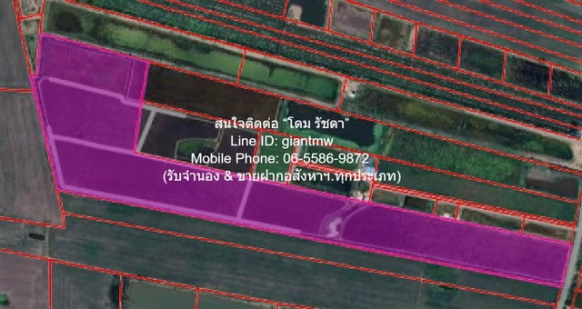 พื้นที่ดิน ขายที่ดินทุ่งนา 103-0-44 ไร่ ศรีจุฬา อ.เมืองนครนายก นครนายก ราคา 31 ล้านบาท   41244 ตร.ว. 31000000 BAHT ใกล้กับ วัดศรีจุฬา และห่างฟิวเจอร์พาร์ครังสิต ประมาณ 73 กม. ราคา งามๆ นครนายก   