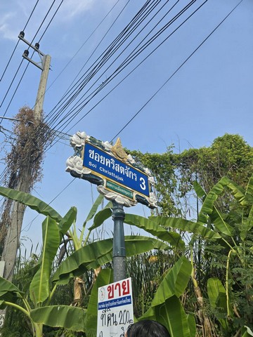 ที่ดิน -  25000 THB ใกล้ โรงเรียนปทุมวิไล ศาลากลางปทุมธานี โลตัสปทุมธานี โรงพยาบาลปทุมธานี อยู่ย่านใจกลางเมืองปทุม เขตชุมชน FOR SALE ใกล้สถานที่ราชการ โรงพยาบาล โรงเรียน