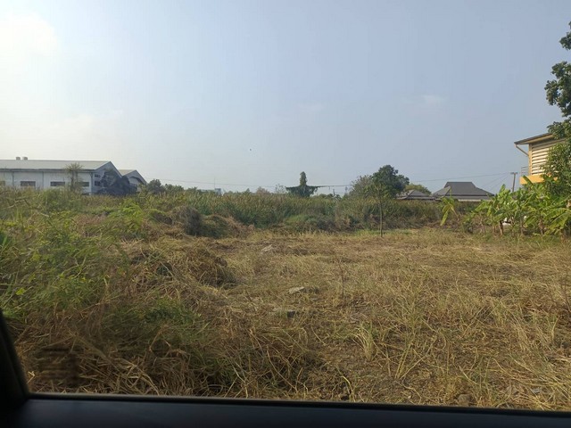 ขายที่ดินเฉลิมพระเกียรติ ร.9 ซอย 30 แยก 14 แขวงดอกไม้ เขตประเวศ ราคาดีมาก